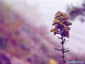 10367678_10152339496841525_8086514411170461349_n